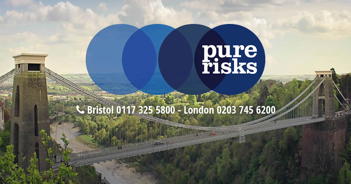 Pure Risks Responsive Website Design