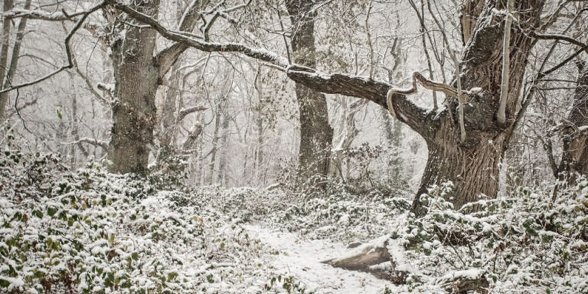 Bromsgrove Snow