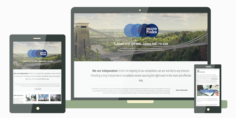 Pure Risks Responsive Website