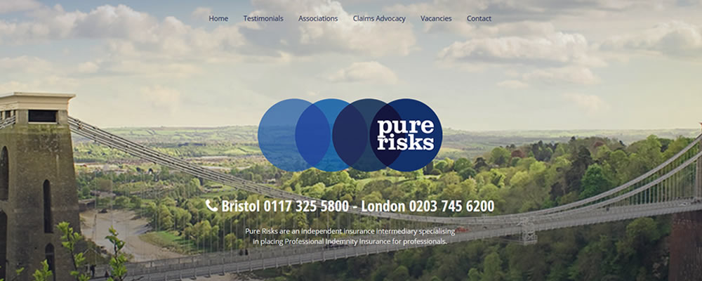 Pure Risks Homepage Image